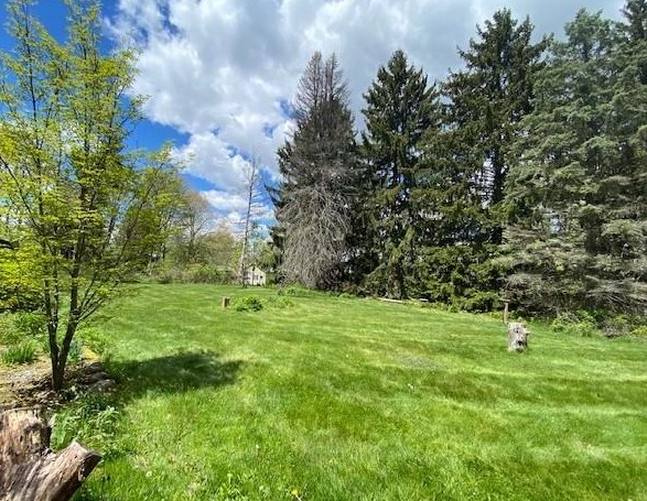 313 Holyoke Rd, Butler PA  16001-1214 exterior