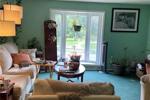 homes for sale ligonier township pa