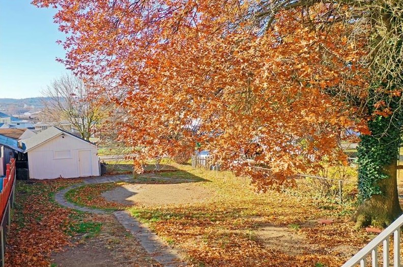 1139 Arch St, Washington PA 15301-1929 exterior