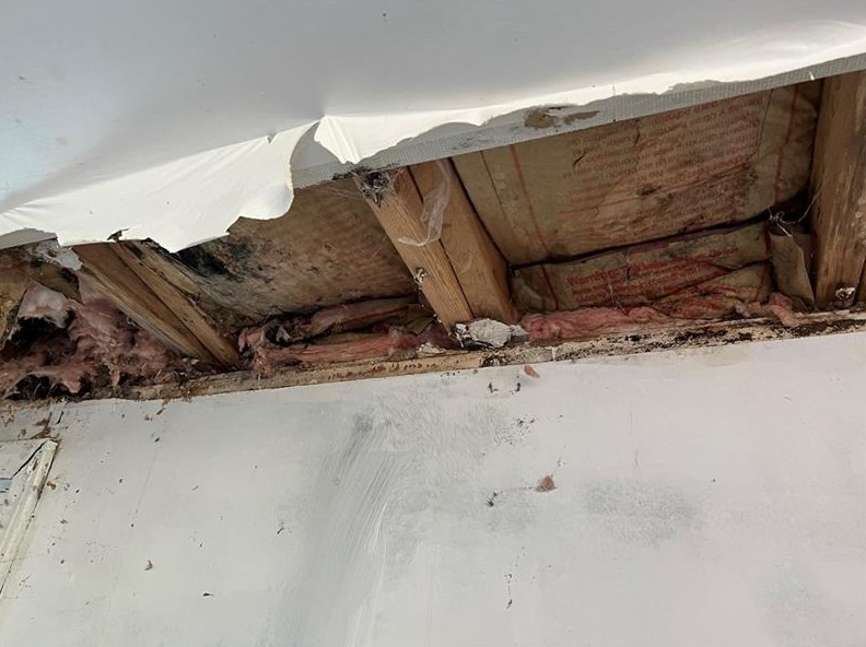 664 Banetown Rd, Washington PA 15301-6432 exterior