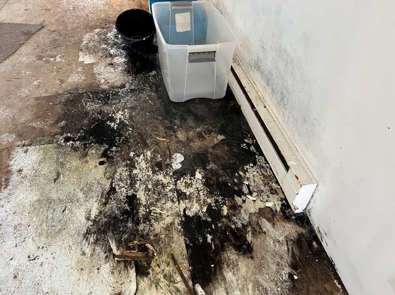 664 Banetown Rd, Washington PA 15301-6432 exterior