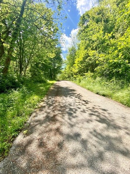 201 Curfew Rd, Perryopolis PA  15473-1060 exterior