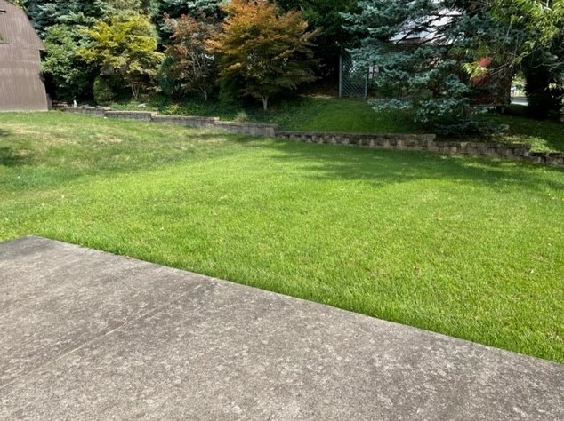 408 Hazelnut Dr, Monroeville PA  15146-1226 exterior