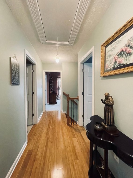 102 Cedar Rdg Dr, Monaca PA 15061-2748 exterior