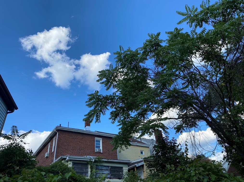 730 Adelaide St, Pittsburgh PA  15219-5714 exterior