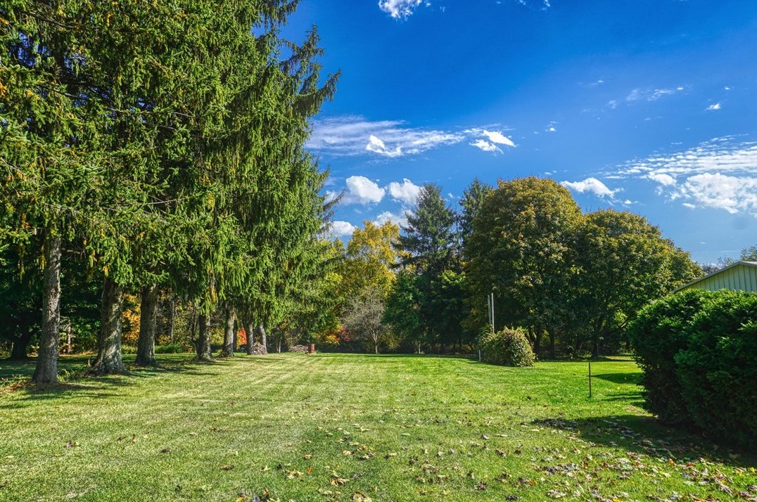 215 Freeport Rd, Butler PA 16002-3631 exterior