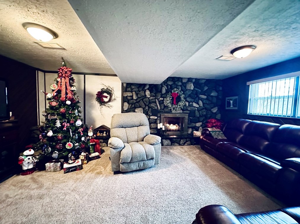 919 Moore St, Oliphant Furnace PA  15401-6747 exterior