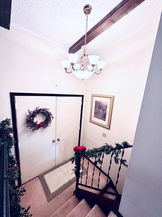 919 Moore St, Oliphant Furnace PA  15401-6747 exterior