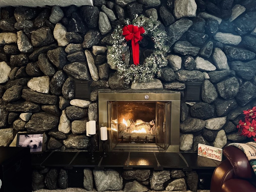 919 Moore St, Oliphant Furnace PA  15401-6747 exterior