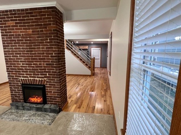 57 Lemon St, Oliphant Furnace PA  15401-2949 exterior