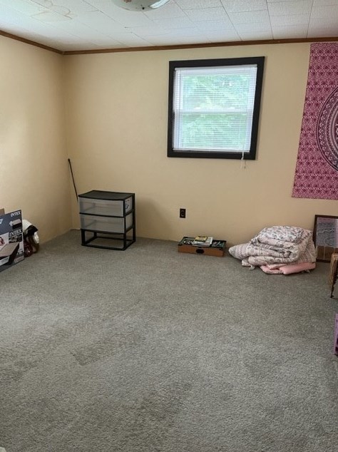 283 Edison St, Oliphant Furnace PA  15401-2579 exterior