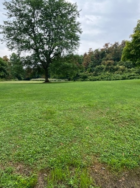 283 Edison St, Oliphant Furnace PA  15401-2579 exterior