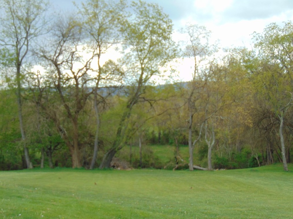 420 Bute Rd, Oliphant Furnace PA  15401-9602 exterior