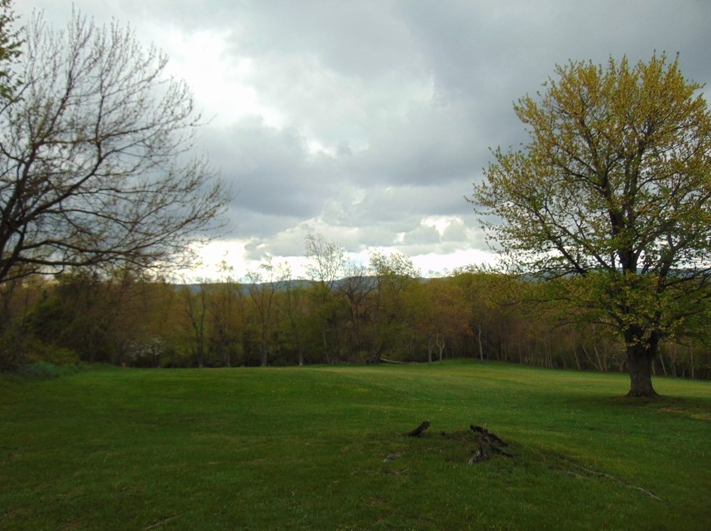 420 Bute Rd, Oliphant Furnace PA  15401-9602 exterior