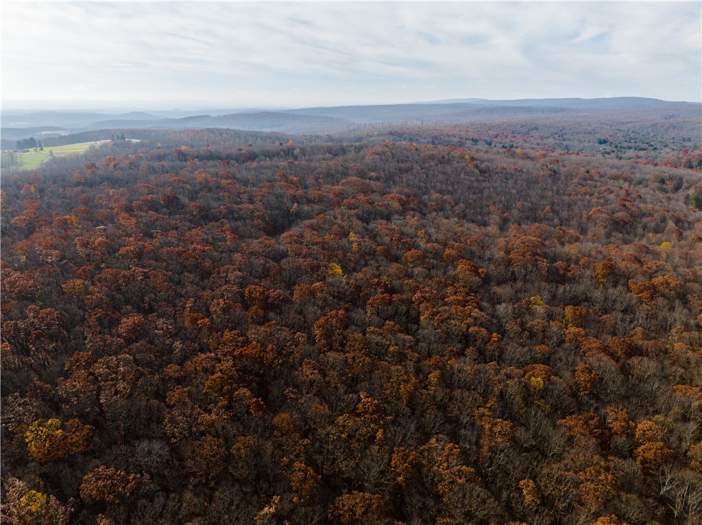 0 Scullton Rd/King's Mountain Rd, Upper Turkeyfoot Township, PA 15557