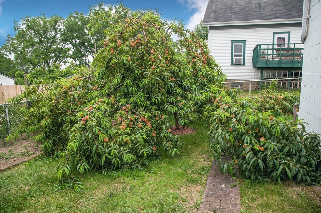 590 Broad St, Washington PA 15301-7015 exterior