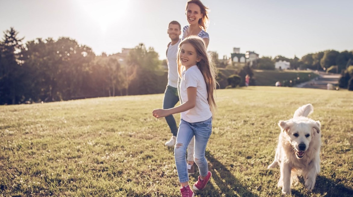 129 Winterwood Dr, Butler PA 16001-7334 exterior