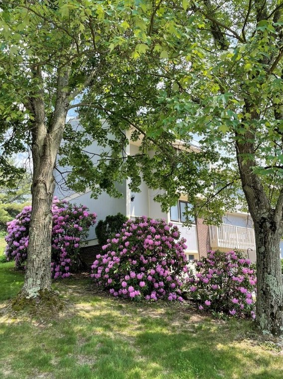 636 Deer Watch Rd, Bridgeville PA  15017-1149 exterior