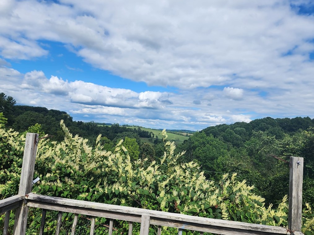 1256 Amity Rdg Rd, Washington PA 15301-6444 exterior