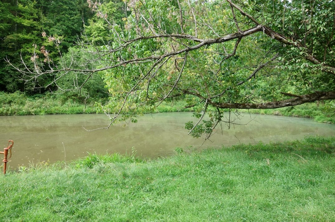 1230 Mounts Rd, Washington PA 15301-8540 exterior