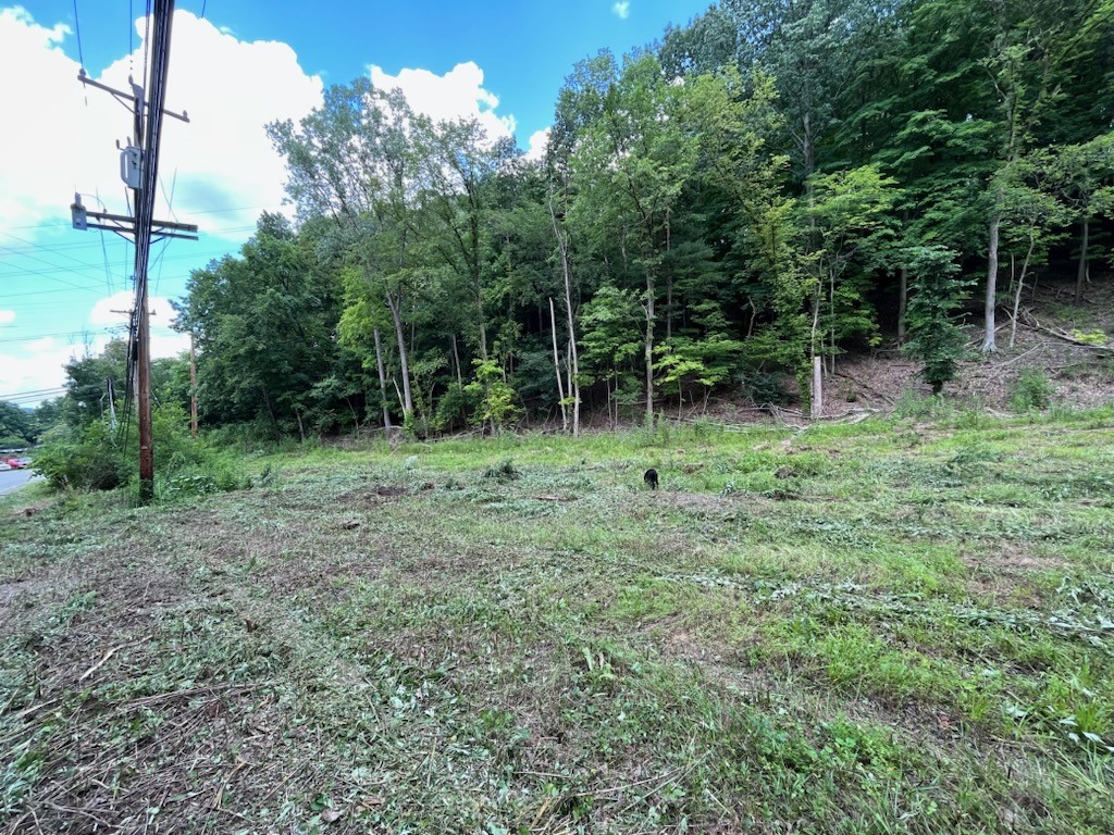 0 Logans Ferry Rd, Pittsburgh, PA 15068 MLS 1622356 Coldwell Banker