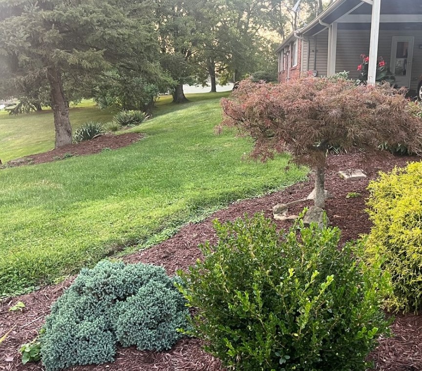 7 Charles St, Cecil PA  15321-1243 exterior