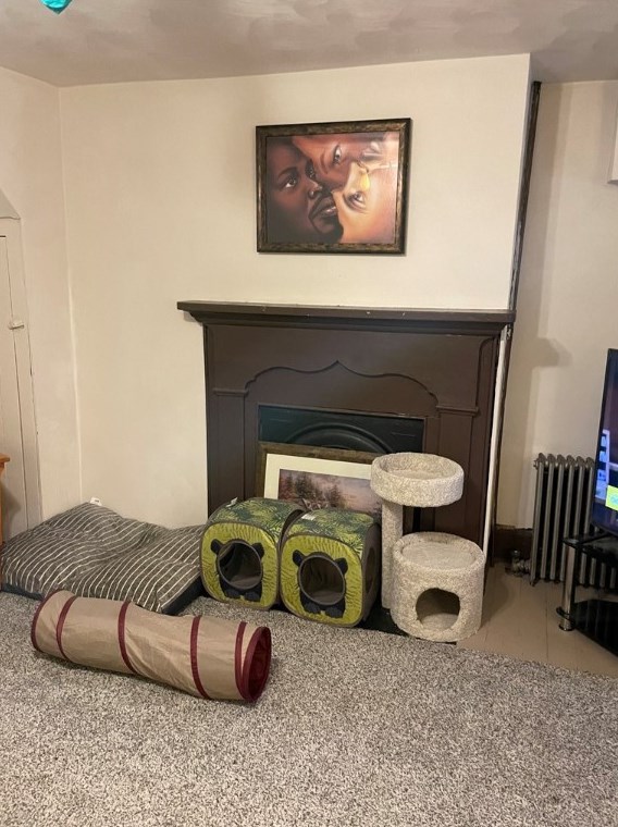 12 1st St, Dunbar PA  15431-1518 exterior