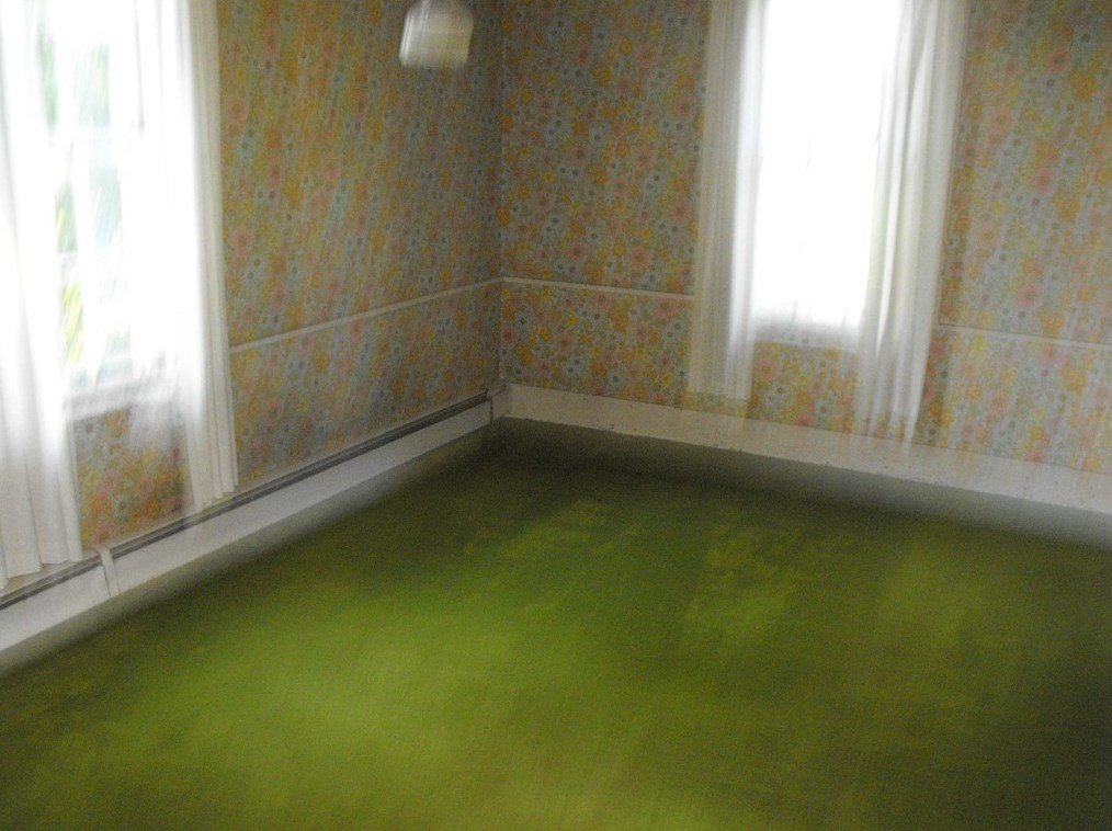 209 Lauffer Mine Rd, Export PA  15632-2020 exterior