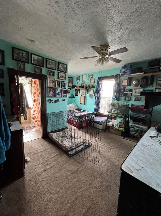 100 Lee St, Collier Township PA  15106-3114 exterior