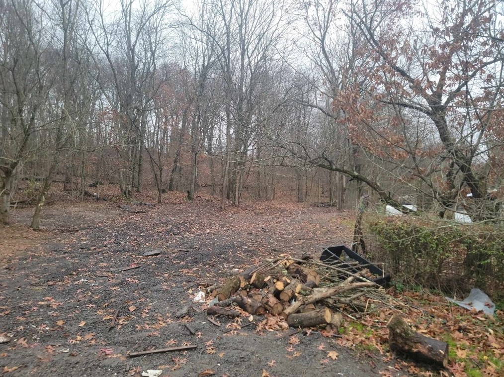 2191 Nilan Rd, Point Marion, PA 15474