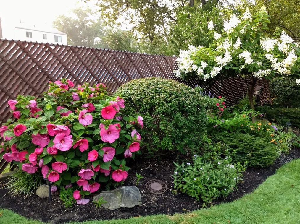 158 Jade Dr, Verona PA  15147-2730 exterior