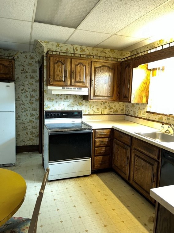 318 Hillcrest Ave, New Castle PA  16105-1914 exterior
