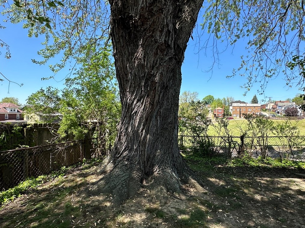 3011 Jenny Lind St, Mckeesport PA  15132-5142 exterior