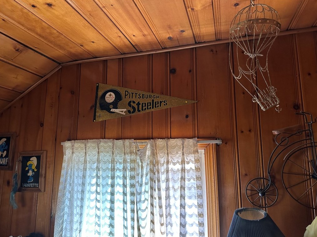 3011 Jenny Lind St, Mckeesport PA  15132-5142 exterior