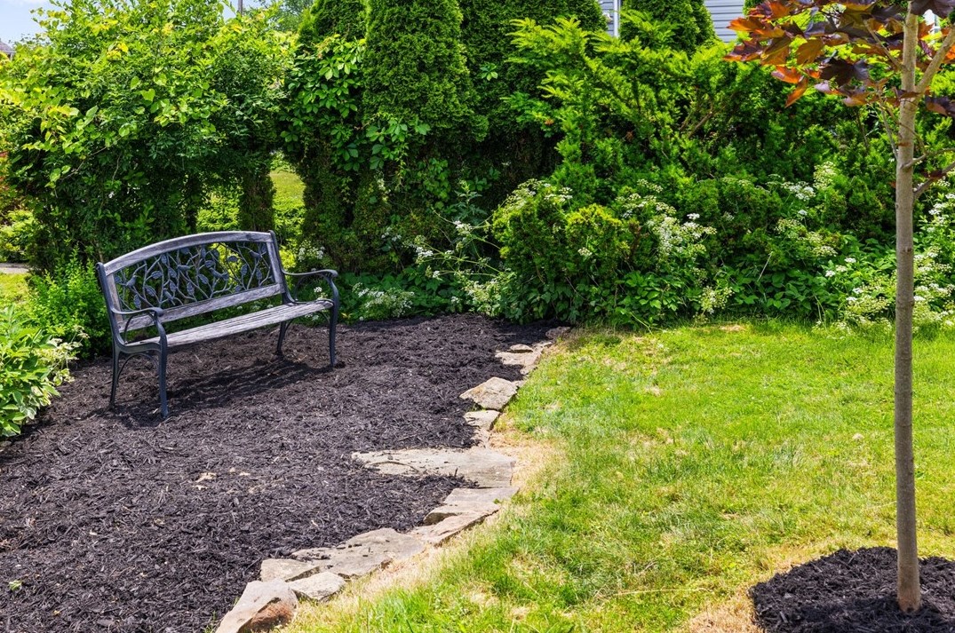 816 Elizabeth St, Pittsburgh PA 15221-3940 exterior