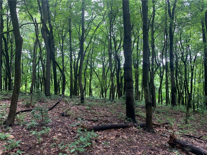 102 Farm Ln, Pine Township, PA 15090 MLS 1533700 Coldwell Banker