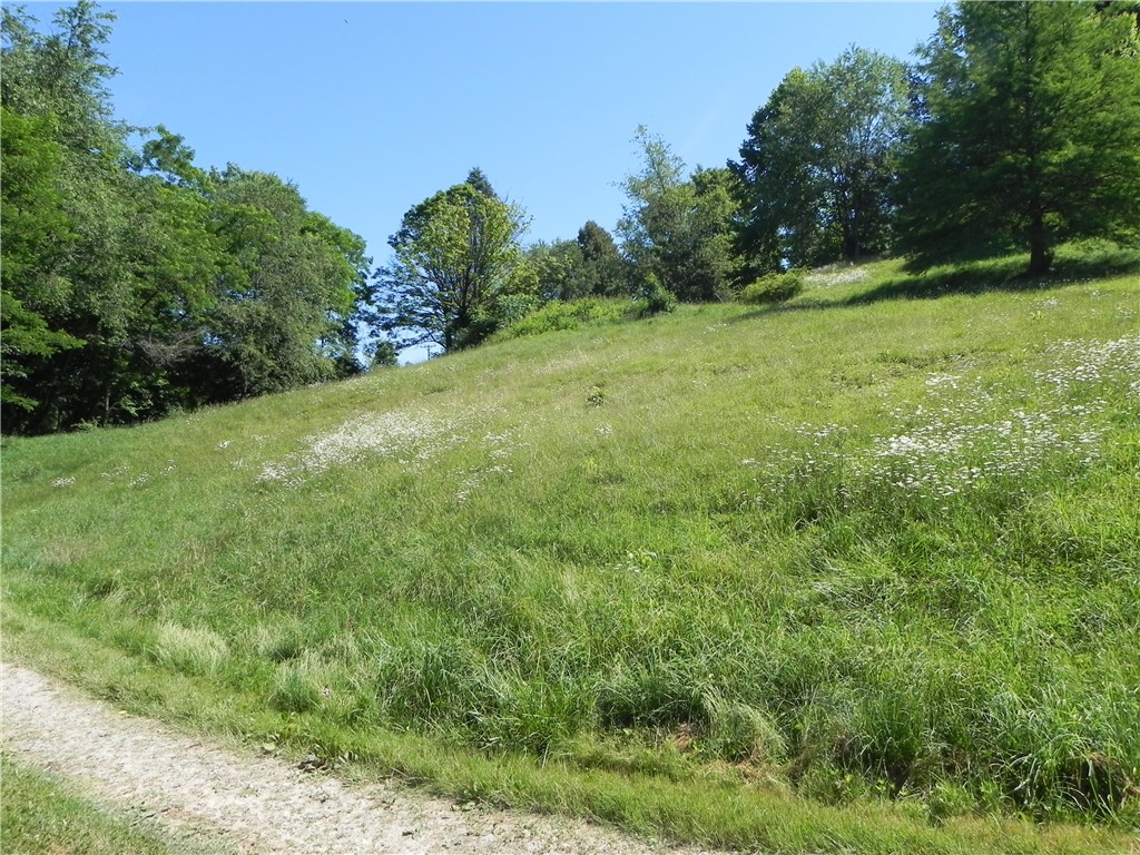 80 Old Brick Rd, West Finley, PA 15376 MLS 1565827 Coldwell Banker