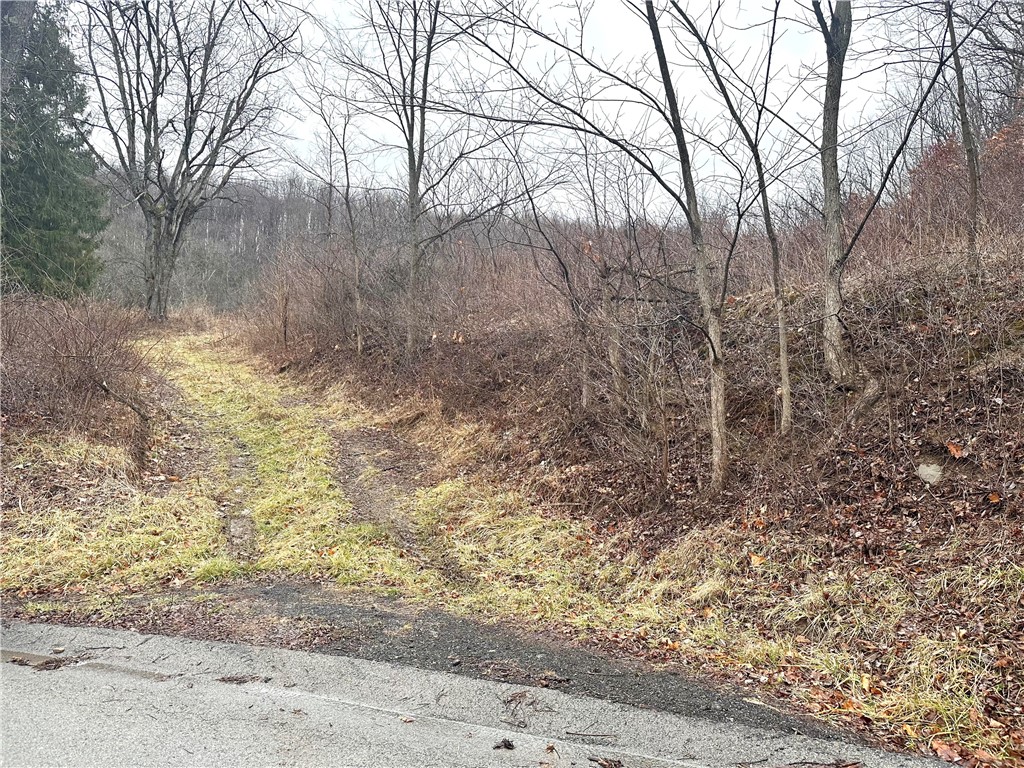 1045 Frishkorn Rd, Daugherty Township, PA 15066 MLS 1591791