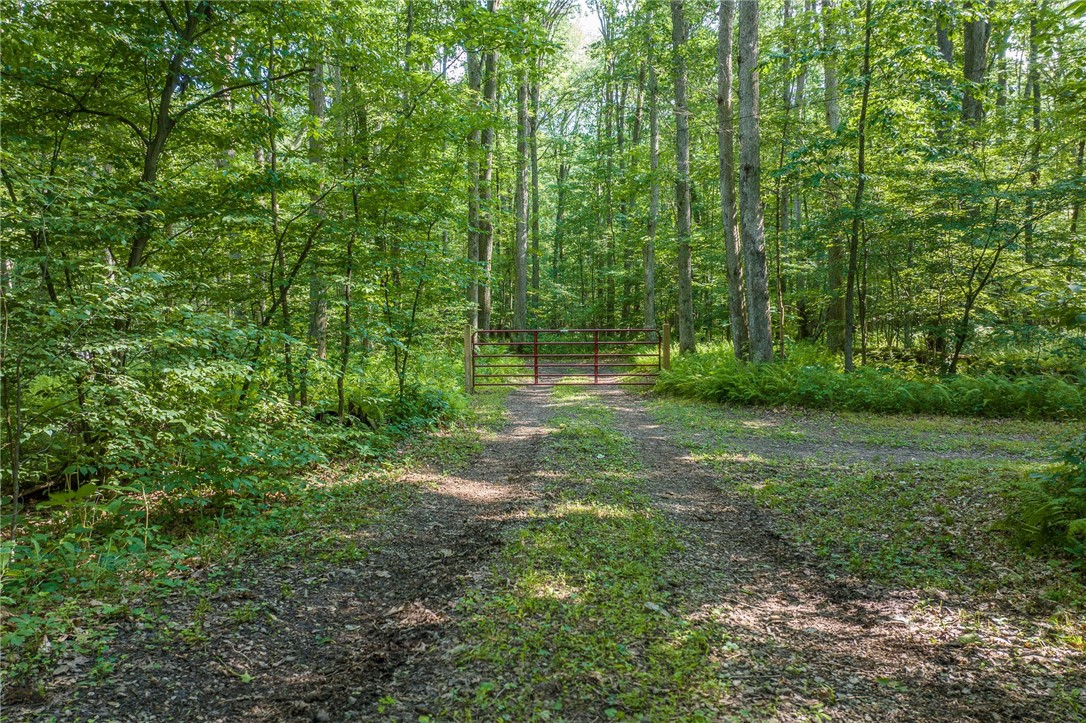 438 FarmingtonOhiopyle Rd, Farmington, PA 15437 MLS 1614558