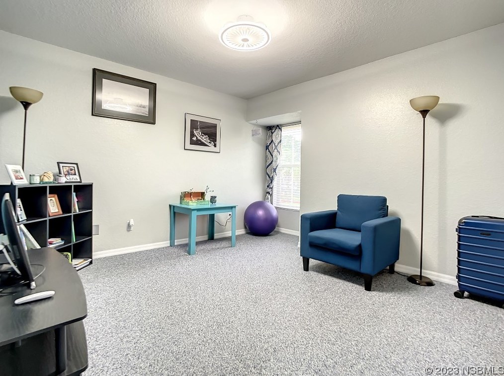 2329 Victory Palm Dr, Edgewater FL  32141-4411 exterior