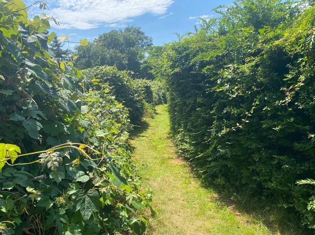 75 Blueberry Ln, Jamestown RI 02835-2901 exterior