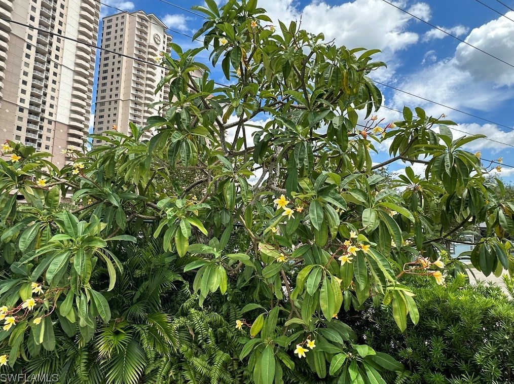 1900 Clifford St, Fort Myers FL  33901-3208 exterior