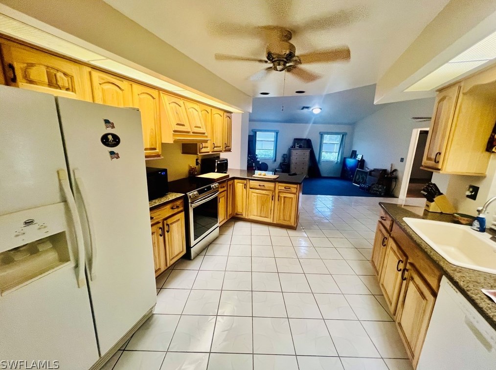 207 Lincoln Ave, Lehigh Acres FL  33936-1454 exterior