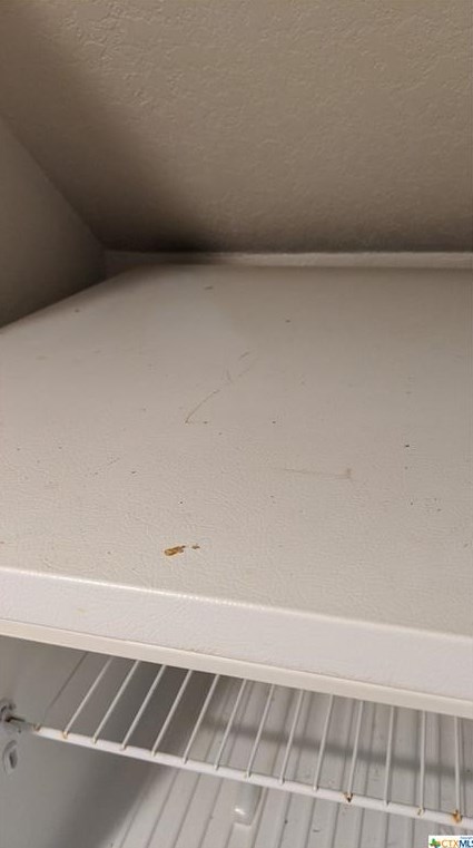 254 Trestle Tree, San Marcos TX  78666-4270 exterior