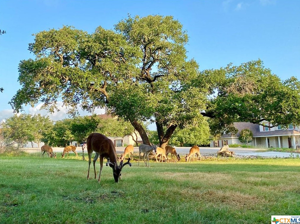 1882 Rush Crk, New Braunfels TX 78133-5992 exterior