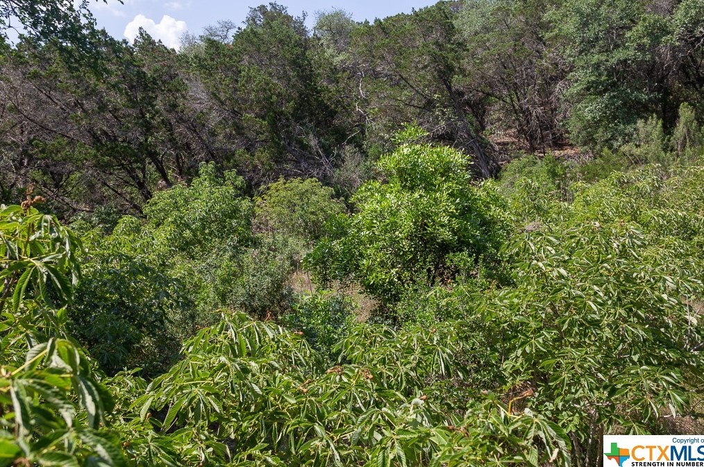 11200 Fm 306, New Braunfels TX 78130-2554 exterior