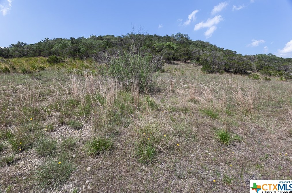 11200 Fm 306, New Braunfels TX 78130-2554 exterior