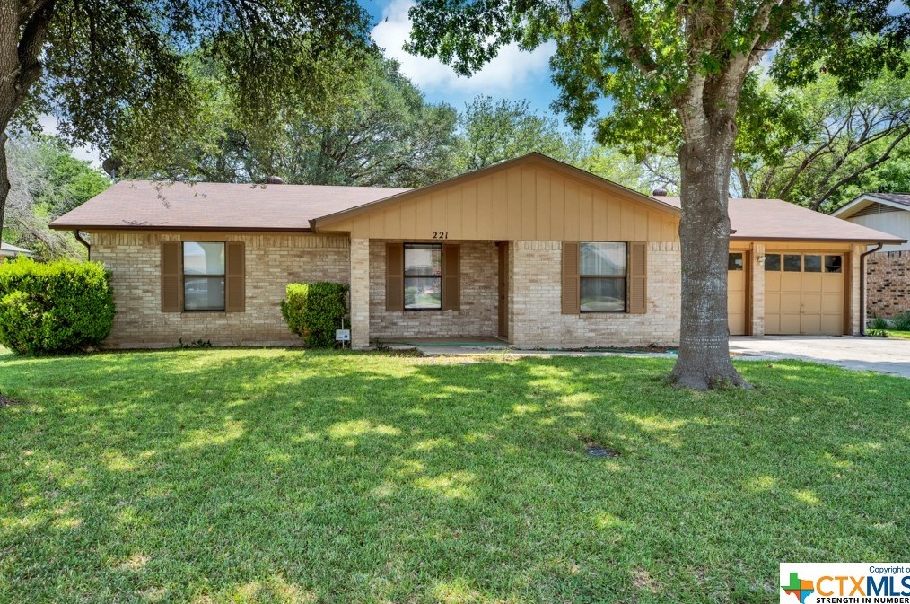 221 Gruene Rd, New Braunfels TX  78130-3213 exterior