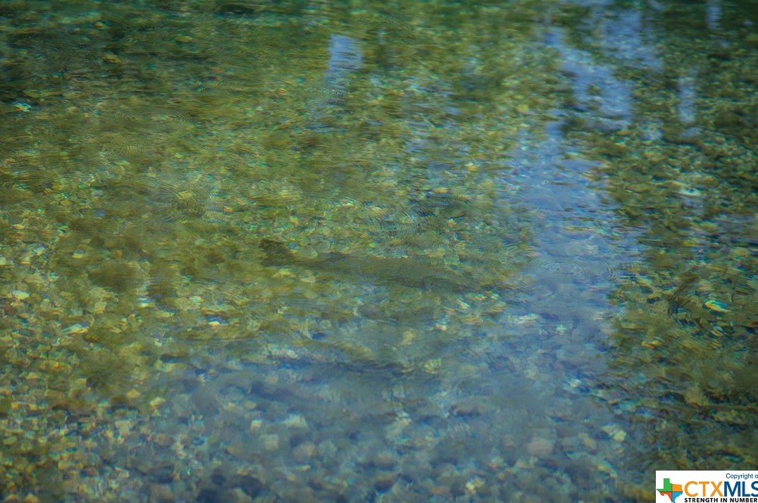 122 Dallas St, New Braunfels TX  78130-5311 exterior