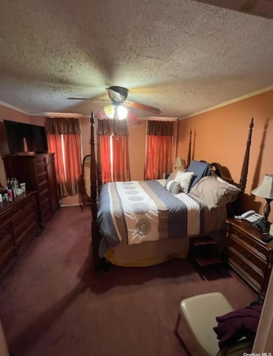 782 Snediker Ave, Brooklyn NY 11207-6610 exterior